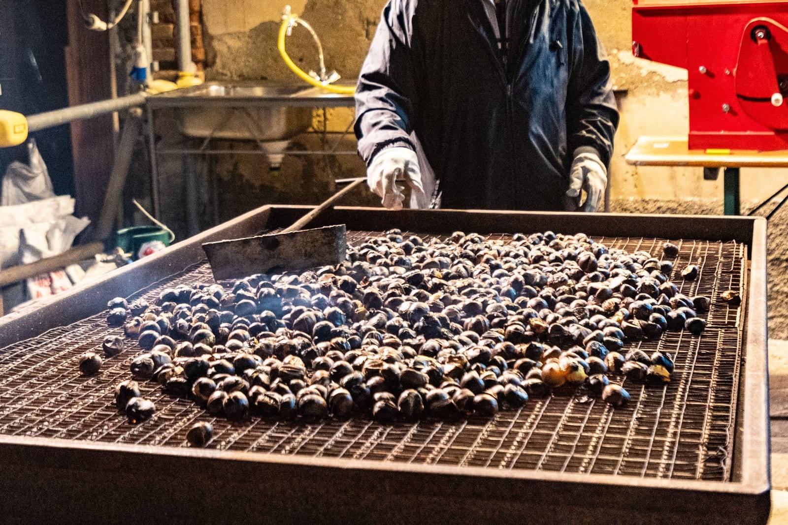 Castagne che arrostiscono sulla grande padella forata, con le mani del cuoco